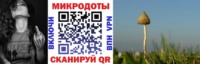 Купить  Новое Девяткино  Галлюциногенные грибы мухоморы 
